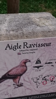 2015 mai rencontre chauvigny v 11