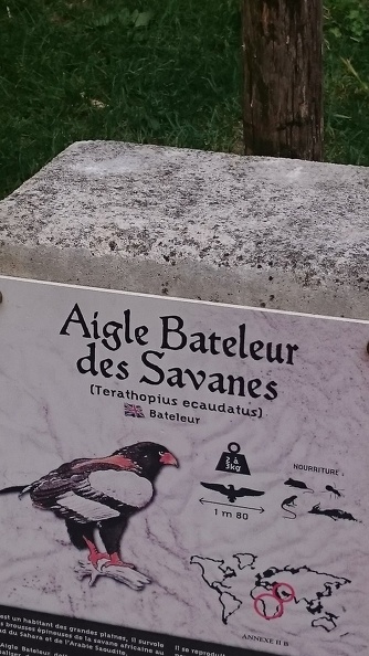 2015_mai_rencontre_chauvigny_v_13.JPG