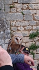 2015 mai rencontre chauvigny v 28