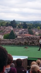 2015 mai rencontre chauvigny v 29