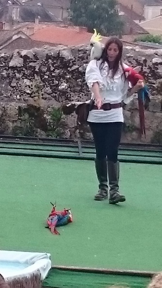 2015_mai_rencontre_chauvigny_v_33.JPG