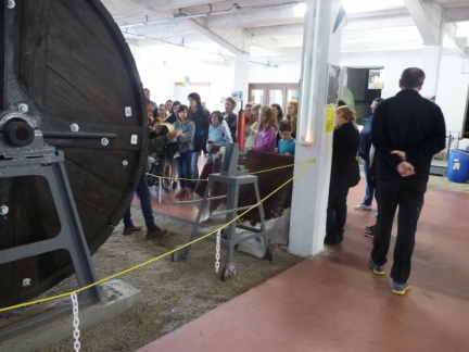 2016 05 08 rencontre tannerie 46