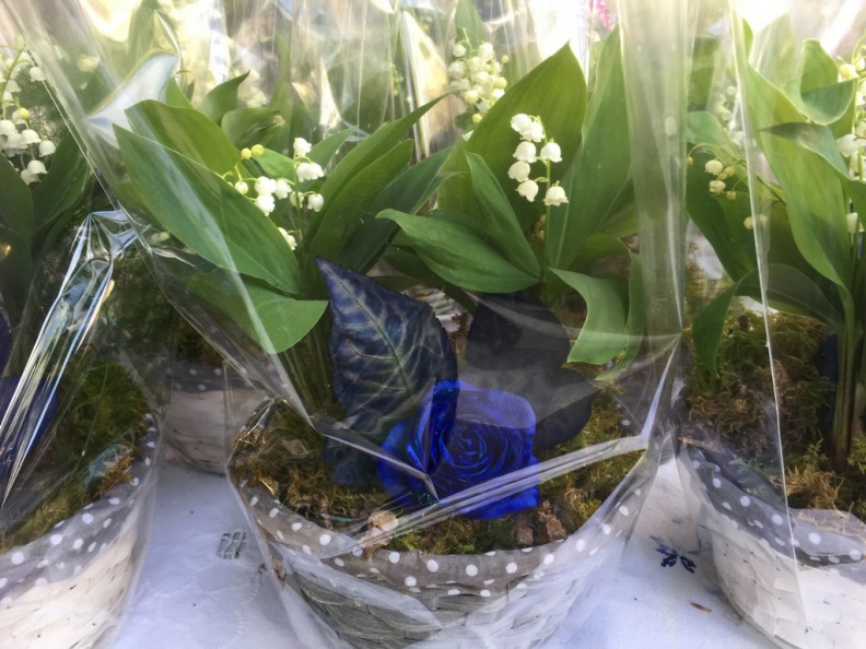 2017_05_01_muguet_09.JPG