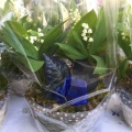 2017 05 01 muguet 09
