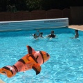 2017 05 29 rencontre piscine 002