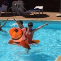 2017 05 29 rencontre piscine 020