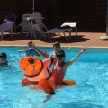2017 05 29 rencontre piscine 022