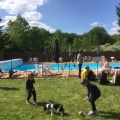 2018 05 12 rencontre poitiers by ch D 013