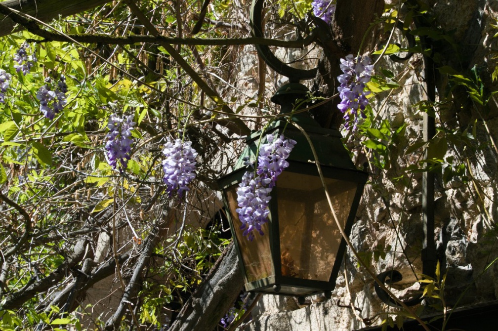 2019 05 30 rencontre moulin 001