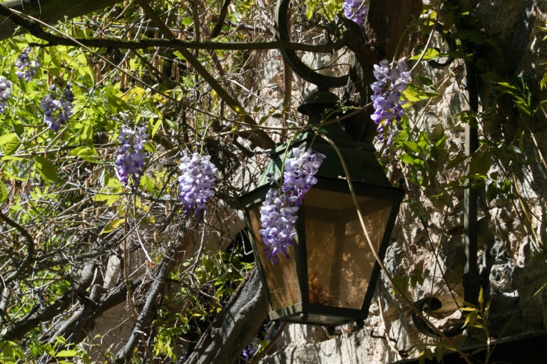 2019 05 30 rencontre moulin 001