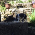 2019 05 30 rencontre moulin 025
