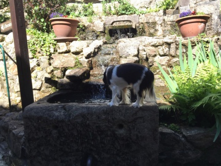 2019 05 30 rencontre moulin 025
