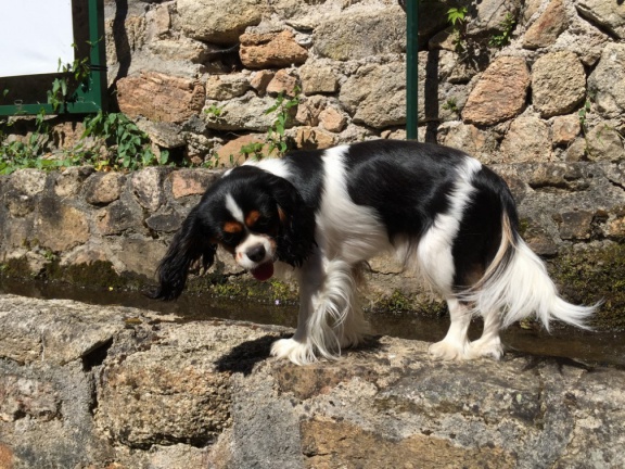 2019 05 30 rencontre moulin 026
