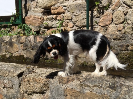 2019 05 30 rencontre moulin 026