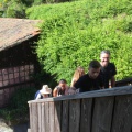 2019 05 30 rencontre moulin 067