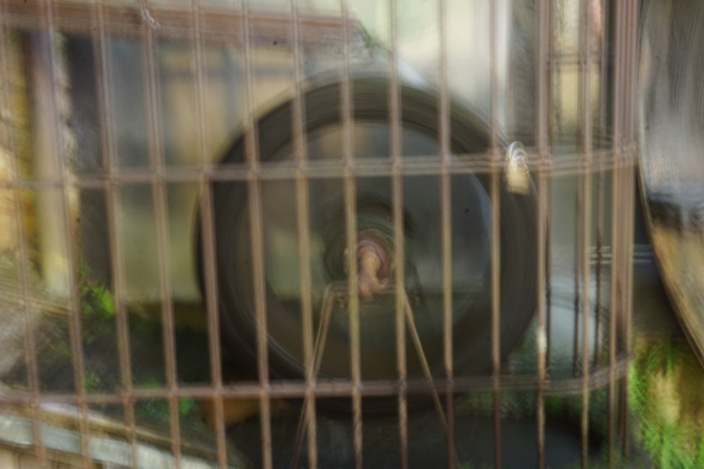 2019 05 30 rencontre moulin 112