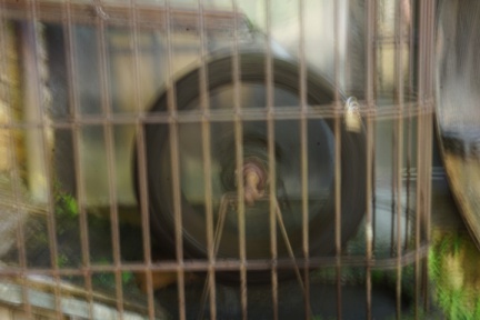 2019 05 30 rencontre moulin 112