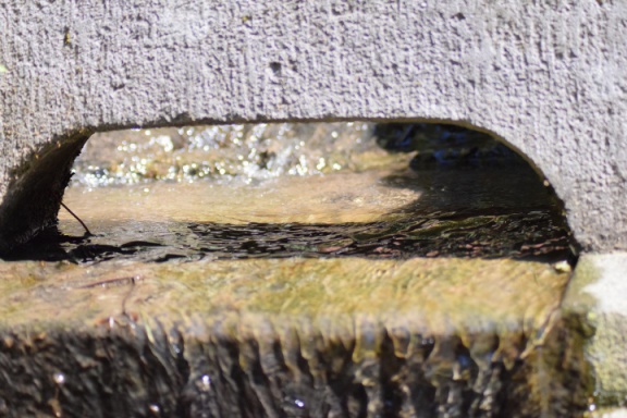 2019 05 30 rencontre moulin A 09
