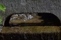 2019 05 30 rencontre moulin A 10