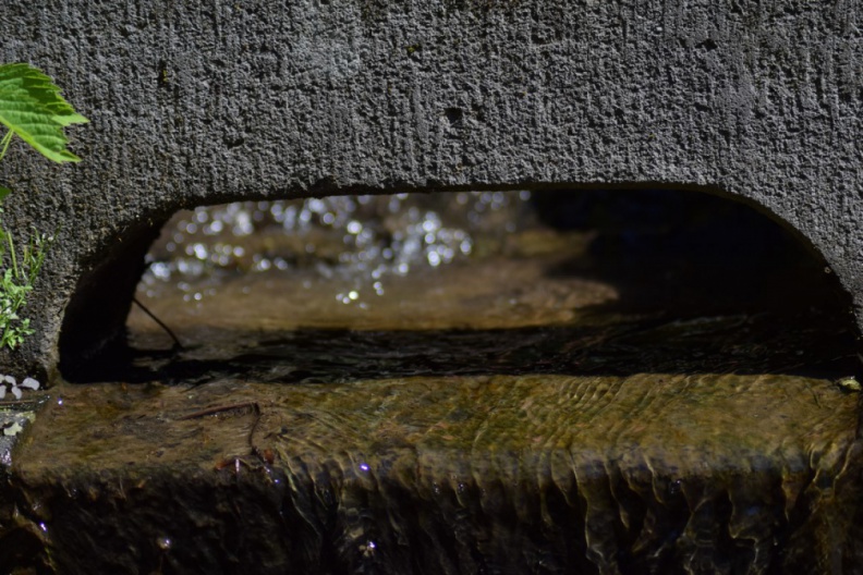 2019_05_30_rencontre_moulin_A_10.JPG