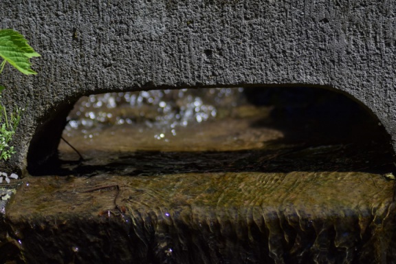2019 05 30 rencontre moulin A 10