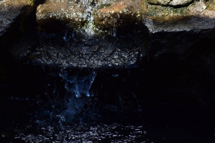2019 05 30 rencontre moulin A 11