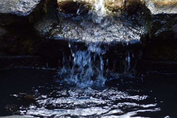 2019 05 30 rencontre moulin A 12