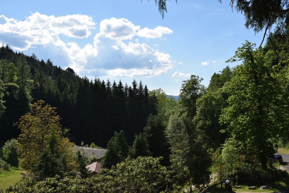 2019 05 30 rencontre moulin A 16