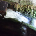 2019 05 30 rencontre moulin A 19