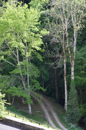 2019 05 30 rencontre moulin A 30