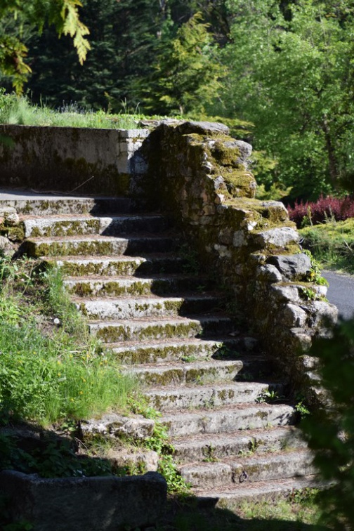 2019 05 30 rencontre moulin A 32