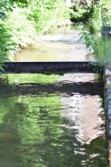 2019 05 30 rencontre moulin A 36