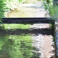 2019 05 30 rencontre moulin A 36