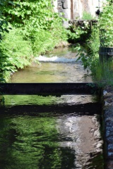 2019 05 30 rencontre moulin A 37