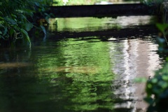 2019 05 30 rencontre moulin A 38