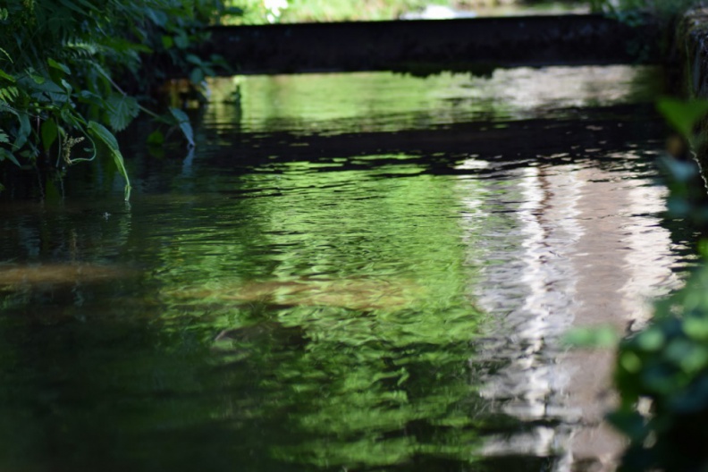 2019_05_30_rencontre_moulin_A_38.JPG