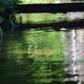 2019 05 30 rencontre moulin A 38