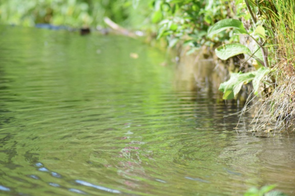 2019 05 30 rencontre moulin A 39