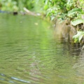 2019 05 30 rencontre moulin A 39