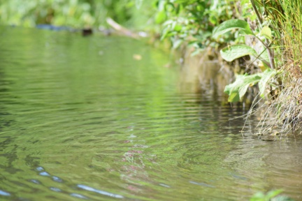 2019 05 30 rencontre moulin A 39