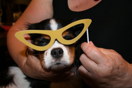 2019 05 30 rencontre soiree 035