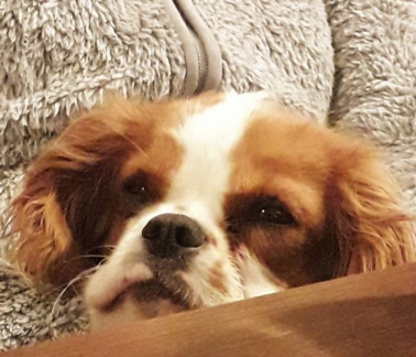 2019 05 30 rencontre soiree 122