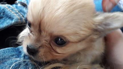 2019 05 30 rencontre soiree 123